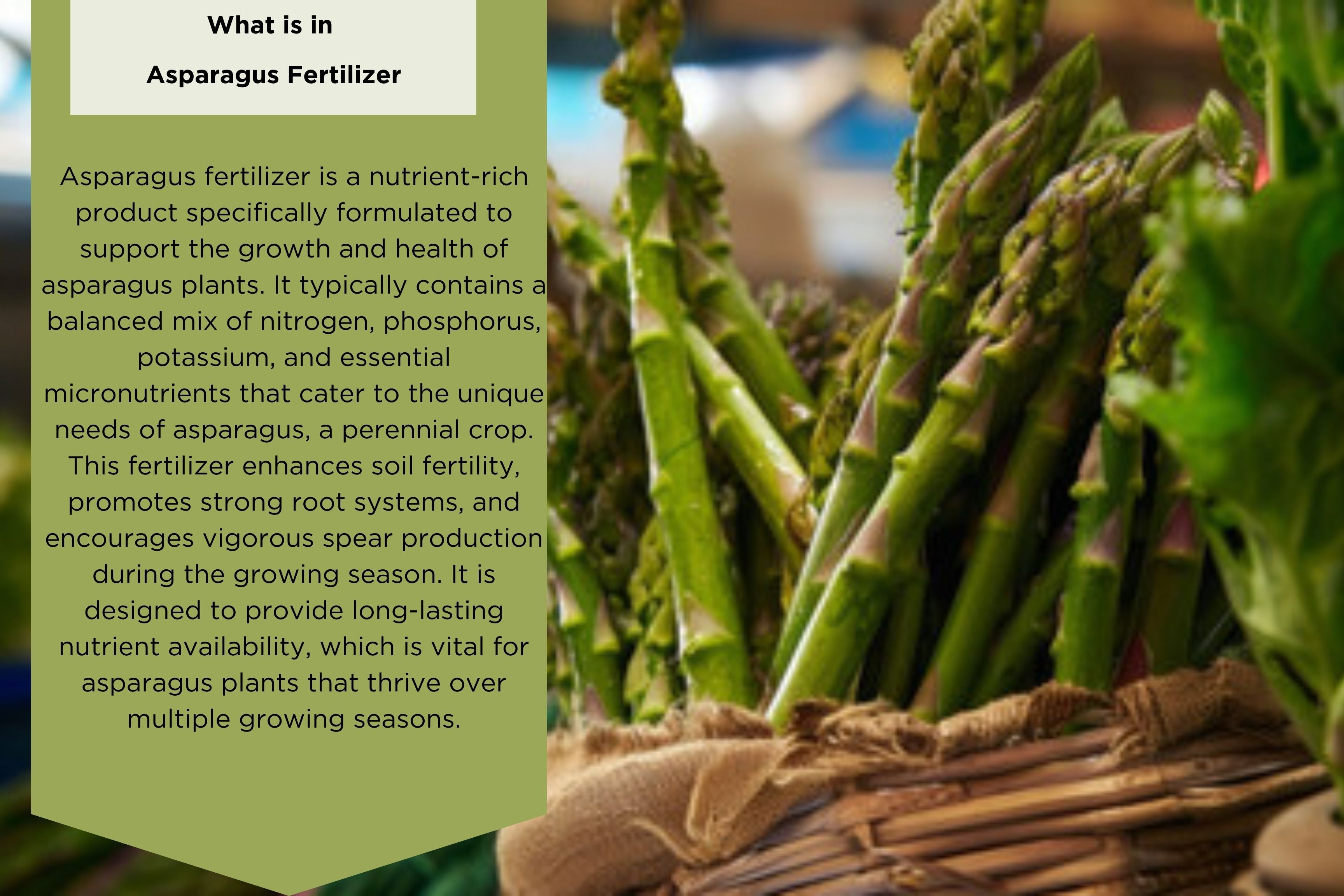 Asparagus Fertilizer by Old Cobblers Farm