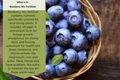 Blueberry Mix Fertilizer by Old Cobblers Farm