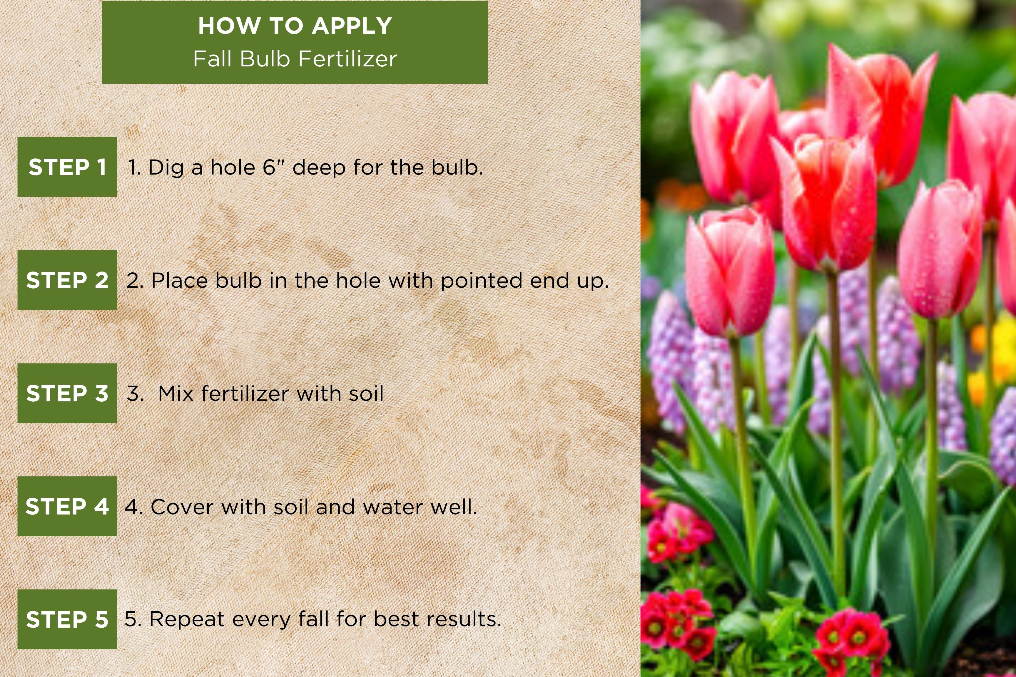 Fall Bulb Fertilizer by Old Cobblers Farm