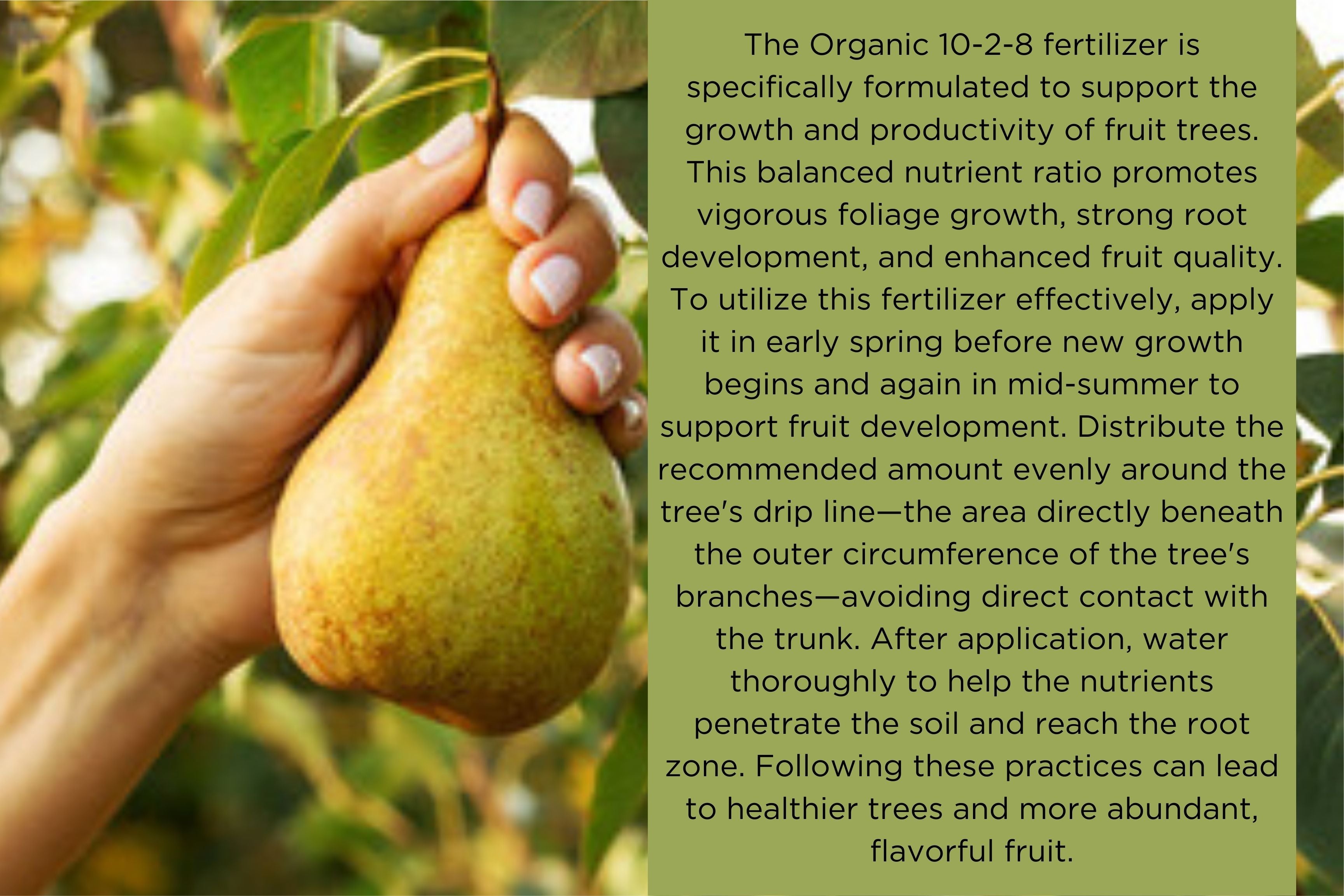 10-2-8 Organic Fruit Tree Fertilizer - Enhanced Root & Yield, Slow-Release, For All Trees, Boosts Soil-Gardeners Choice by Old Cobblers Farm