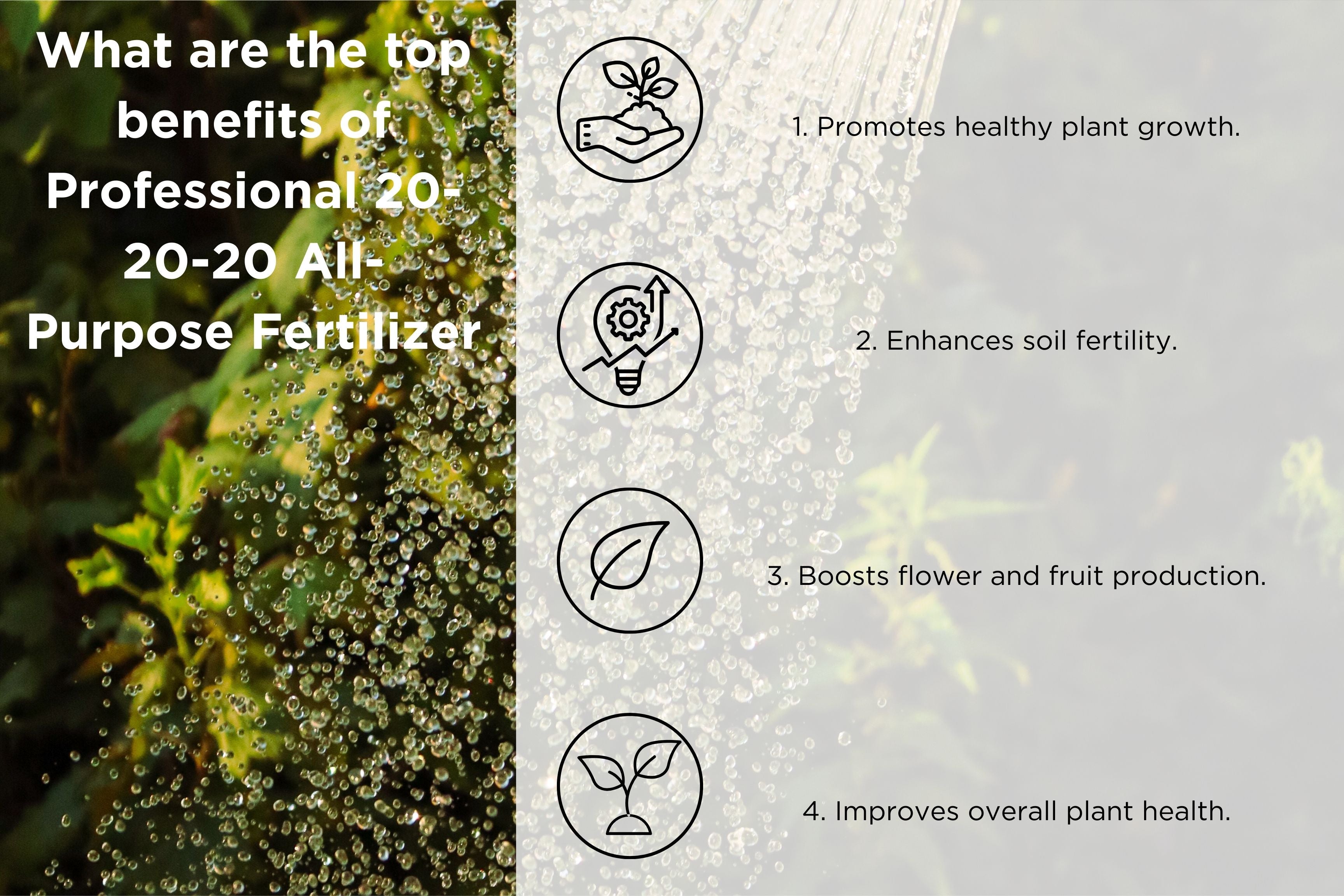 Professional 20-20-20 All-Purpose Fertilizer by Old Cobblers Farm