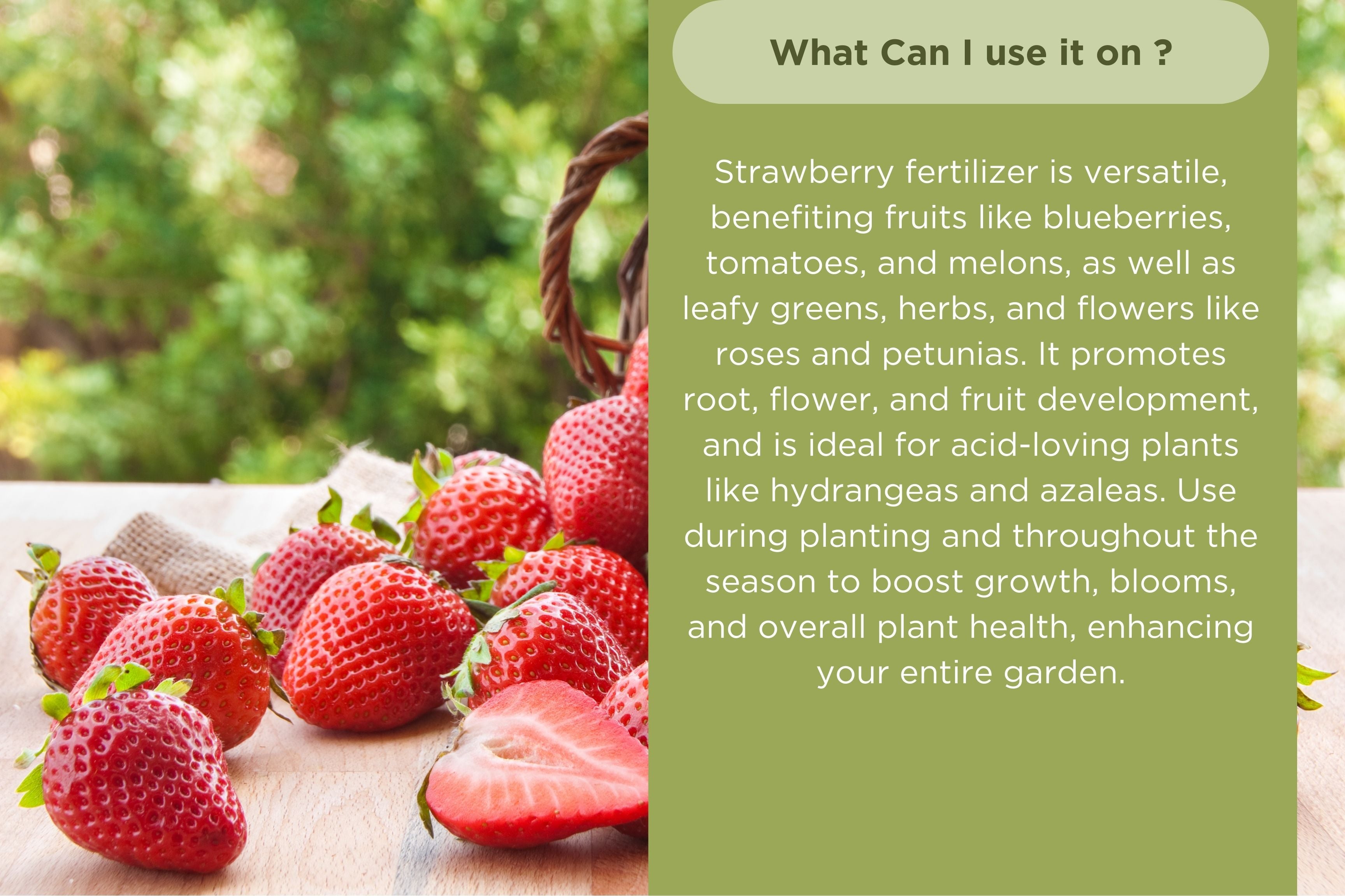 Strawberry Fertilizer by Old Cobblers Farm