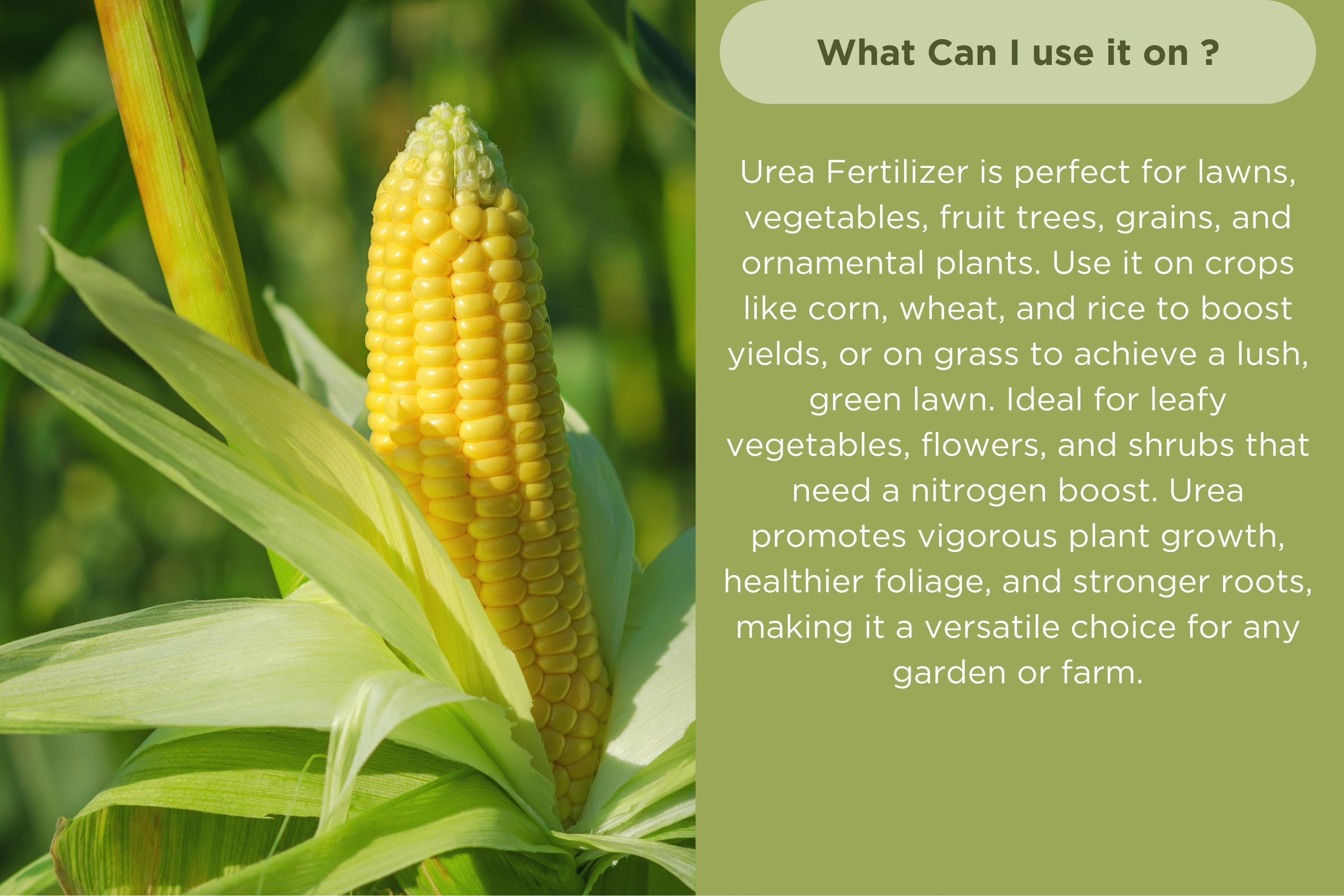 Urea Fertilizer 46-0-0 by Old Cobblers Farm