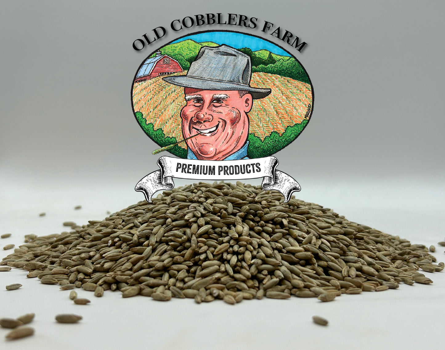 Rye Cat Grass 1000 Seeds by Old Cobblers Farm