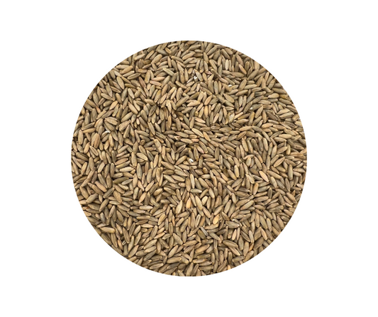 Winter Rye Grass Seed 20lbs. by Old Cobblers Farm