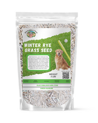 Winter Rye Grass Seed